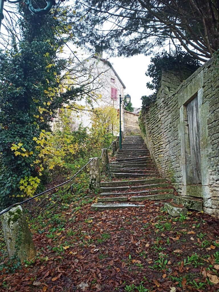 Château de Frôlois