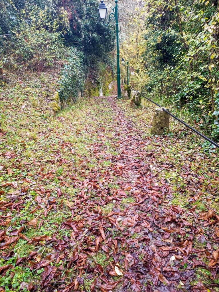 Château de Frôlois