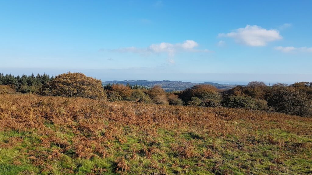 Stogursey Castle: A Medieval Motte-and-Bailey Fortress in Somerset 5 Stogursey Castle