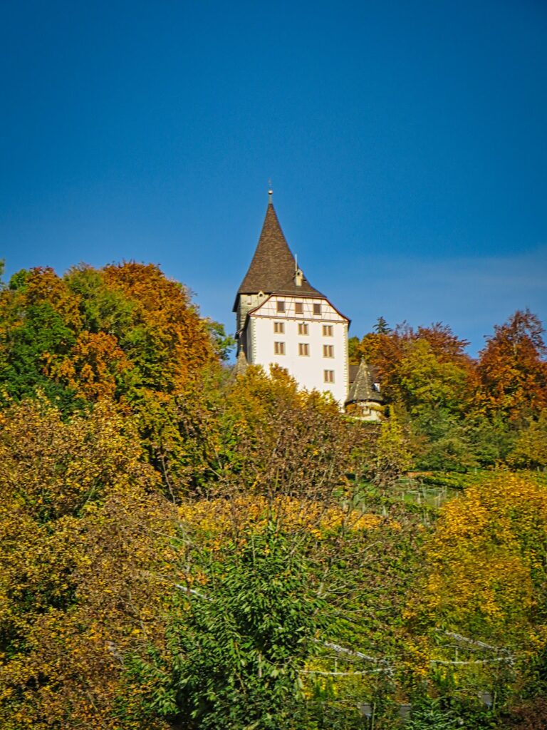Schloss Weinfelden: A Historic Castle in Weinfelden, Switzerland