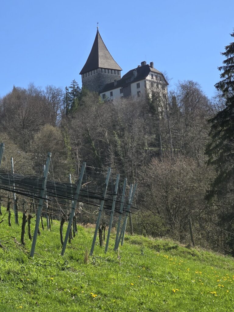 Schloss Weinfelden