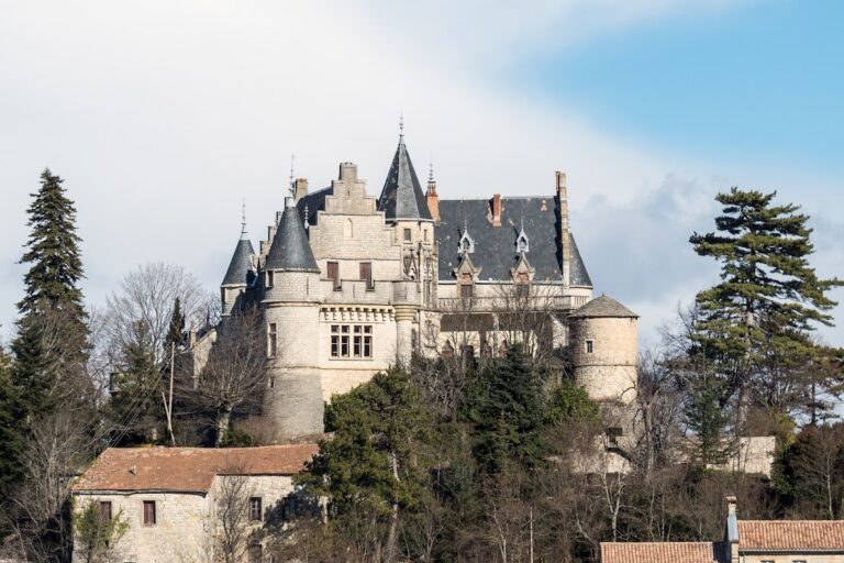 Château de Montdardier: A Historic Medieval Castle in France