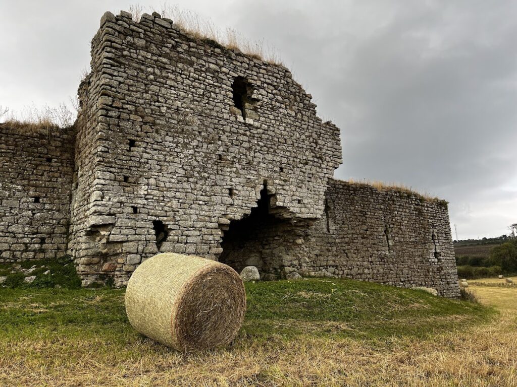 Ballymoon Castle