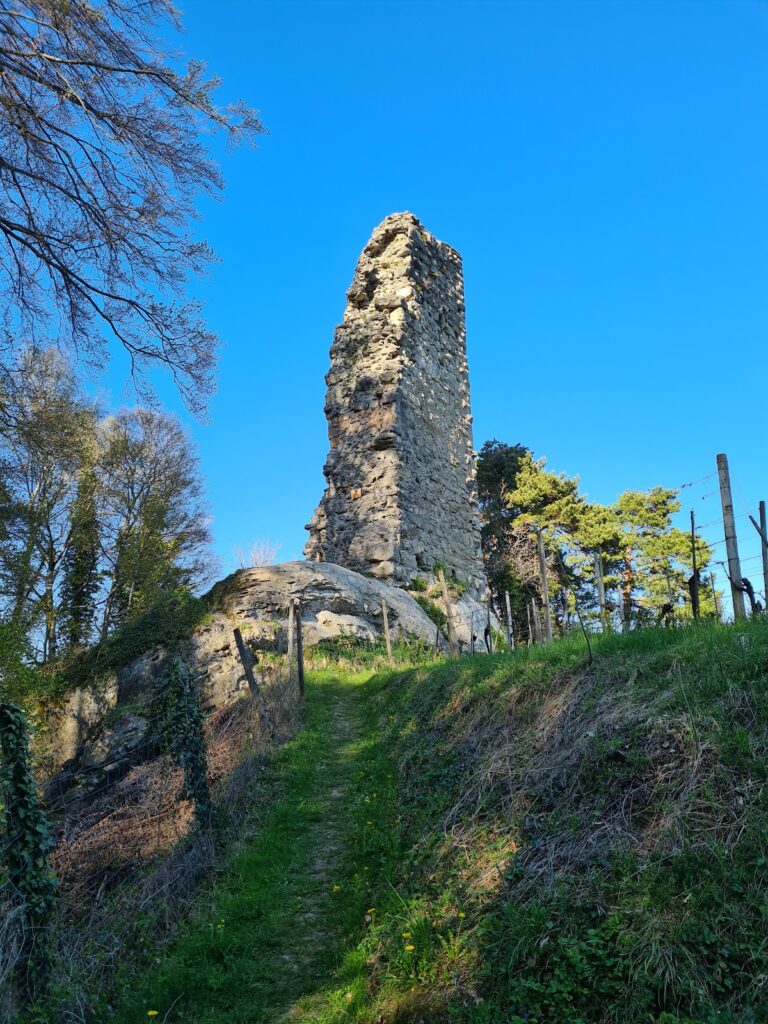 Grimmenstein Castle Ruin: A Medieval Hill Castle in St. Margrethen, Switzerland