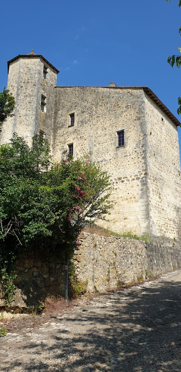 Château de Montbron: A Medieval Castle in Montbron, France
