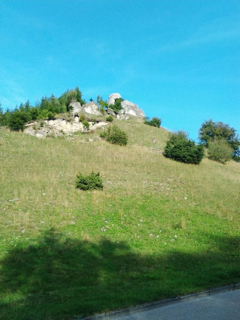 Burg Schenkenstein