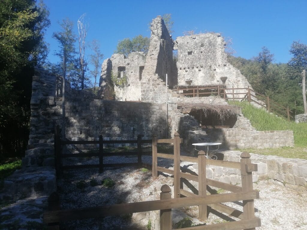Castle of Cergneu