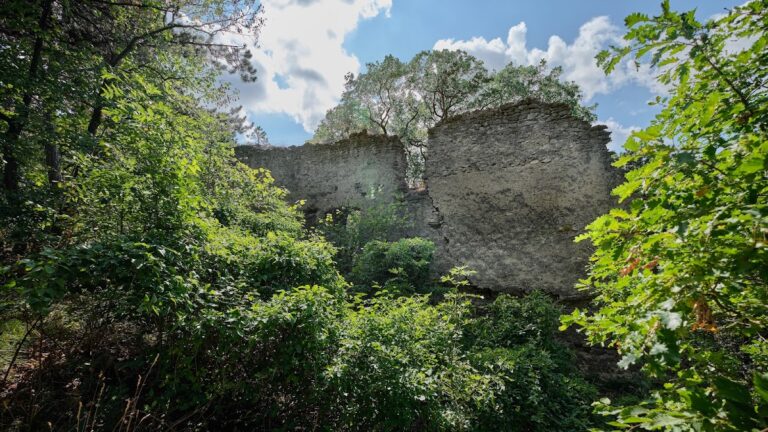 Burgruine Kammerstein: A Medieval Hill Castle near Perchtoldsdorf, Austria