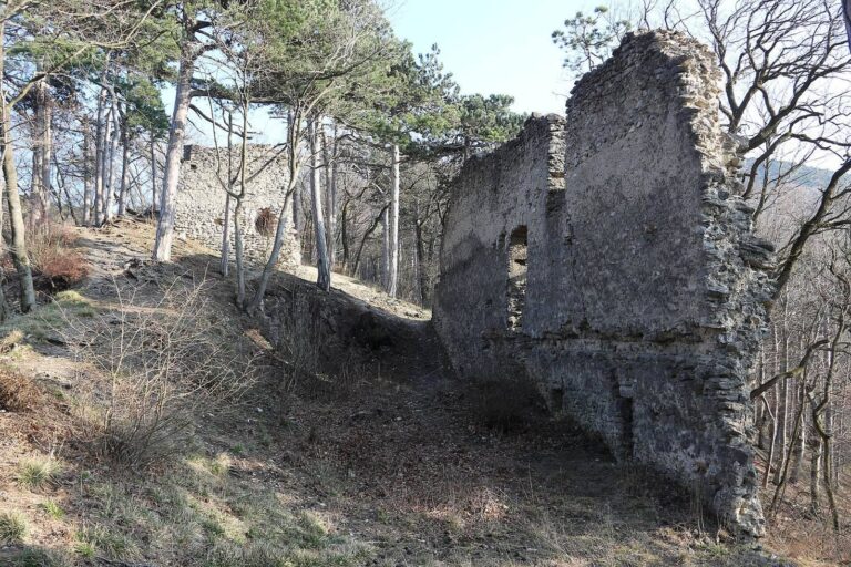 Burgruine Kammerstein: Medieval Castle Ruins in Austria