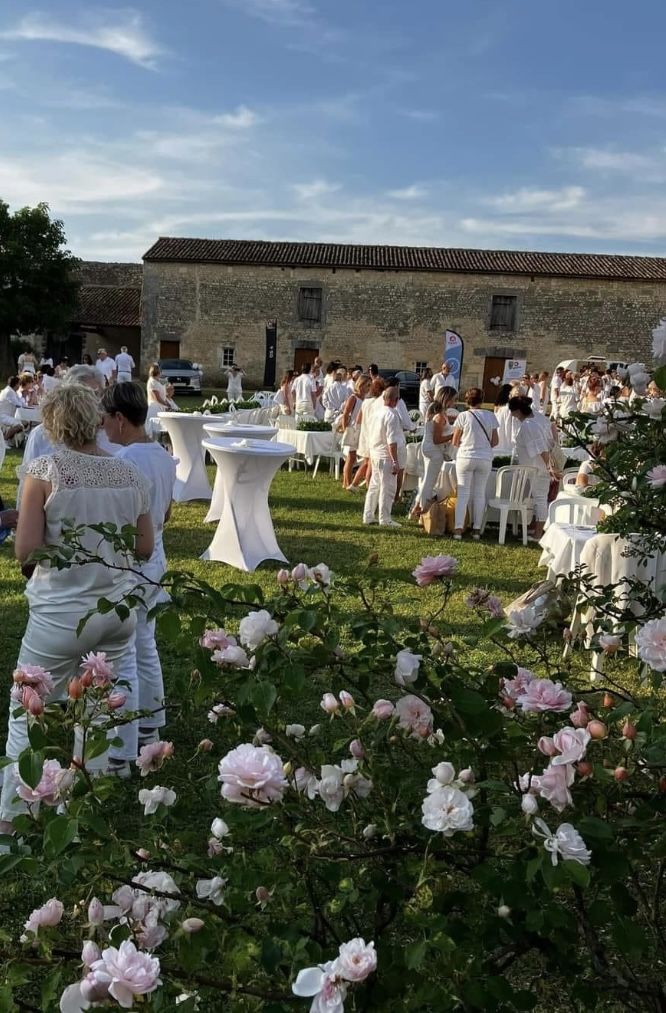 Château de Balzac: A Historic Noble Residence in France 10 Château de Balzac