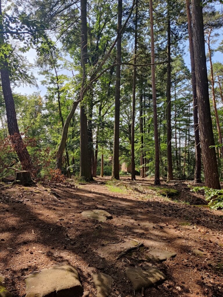 Burg Schlosseck: A Medieval Castle Ruin near Bad Dürkheim, Germany 8 Burg Schlosseck