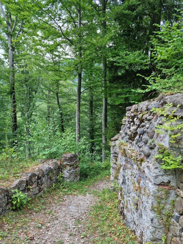 Alt-Landenberg Ruin: A Medieval Hilltop Castle in Switzerland 3 Alt-Landenberg ruin