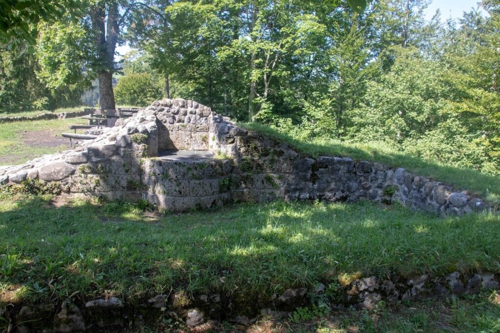 Alt-Landenberg Ruin: A Medieval Hilltop Castle in Switzerland 4 Alt-Landenberg ruin
