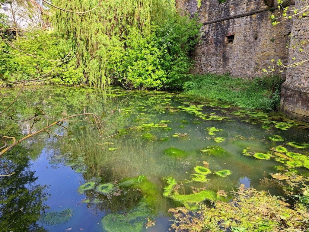 Schloss Daisbach: Ruins of a Water Castle in Germany 4 Schloss Daisbach