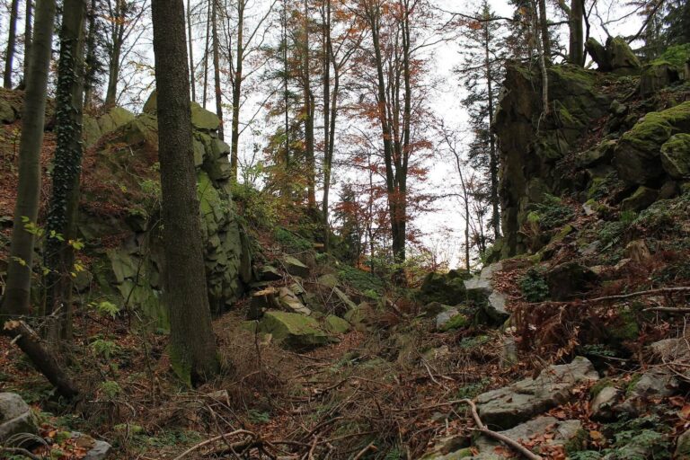 Kuglvajt: A Medieval Gothic Castle Ruin in Czechia