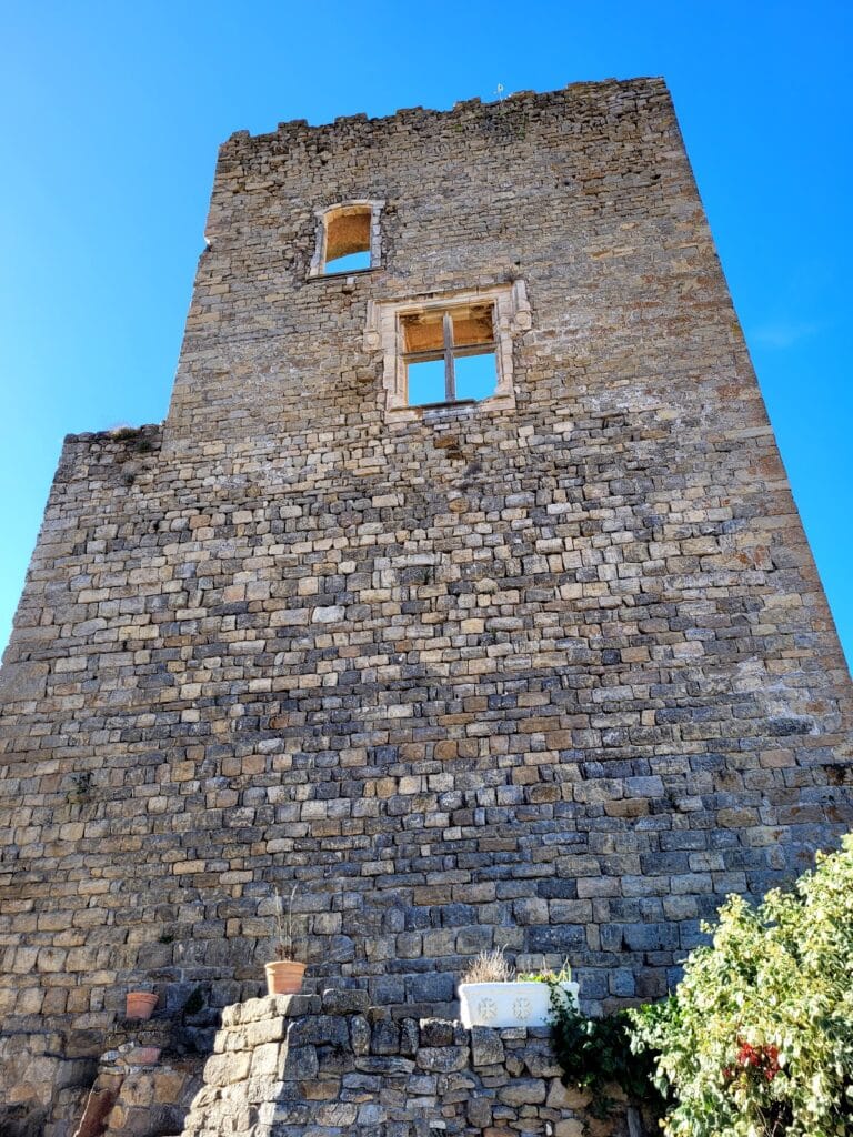 Durban Castle: A Ruined Fortified Castle in France 3 Château de Durban