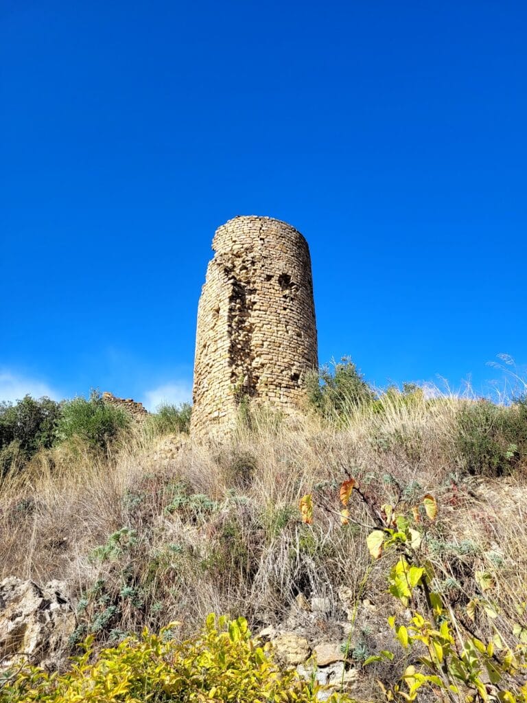 Durban Castle: A Ruined Fortified Castle in France 4 Château de Durban