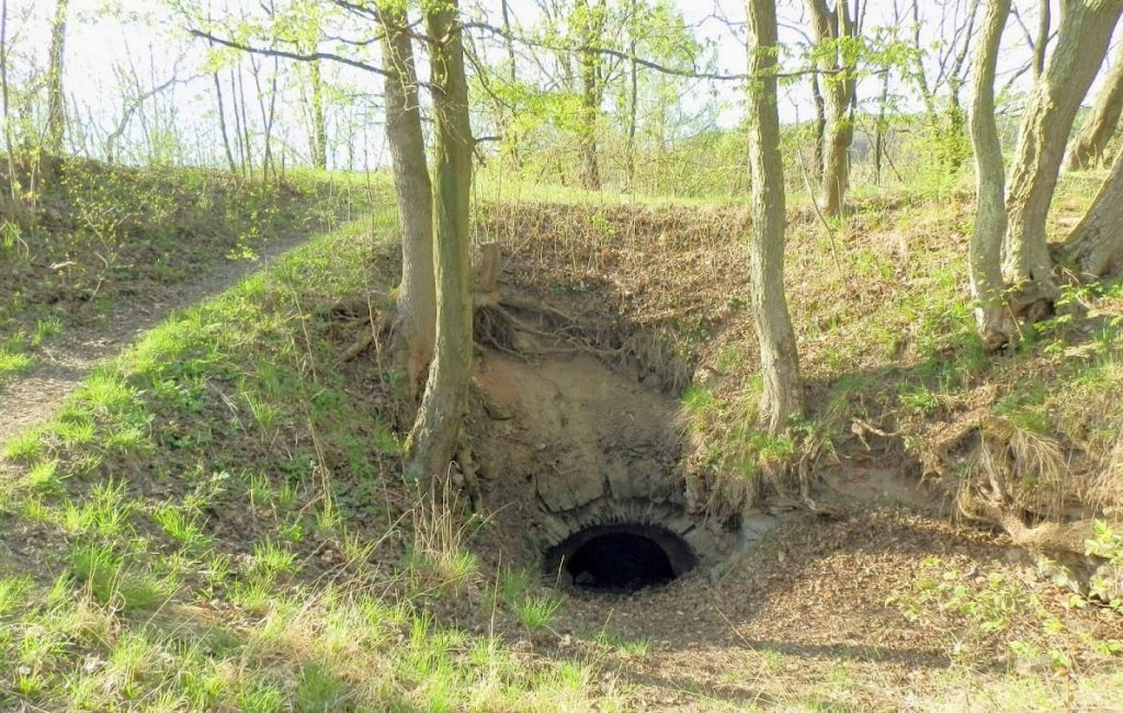 Choustníkovo Hradiště: A Gothic Castle Ruin and Former Convent in Czechia 3 Choustnikovo Hradiště