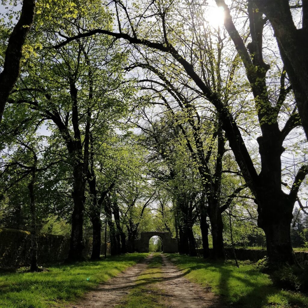 Château de Richemont