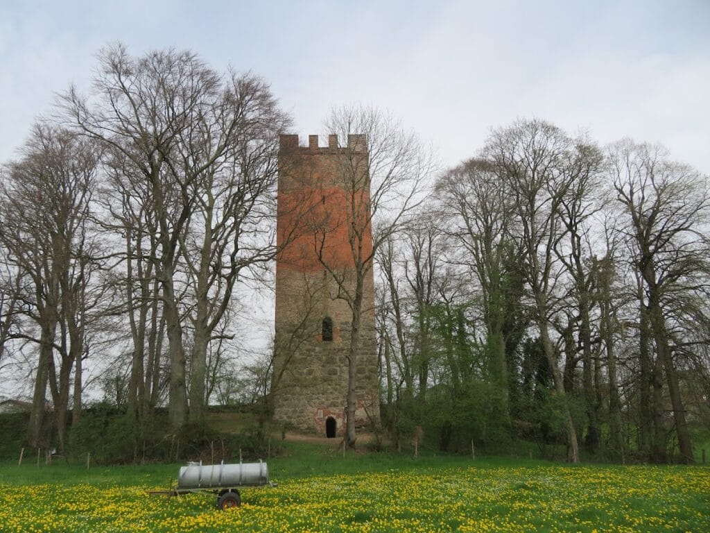 Burgruine Altenschönegg