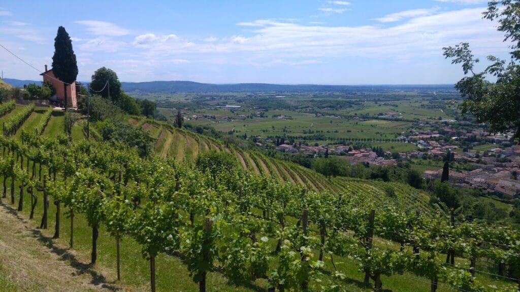 Castello di Cormons: A Lombard and Medieval Hilltop Fortress in Italy 2 Castello di Cormons