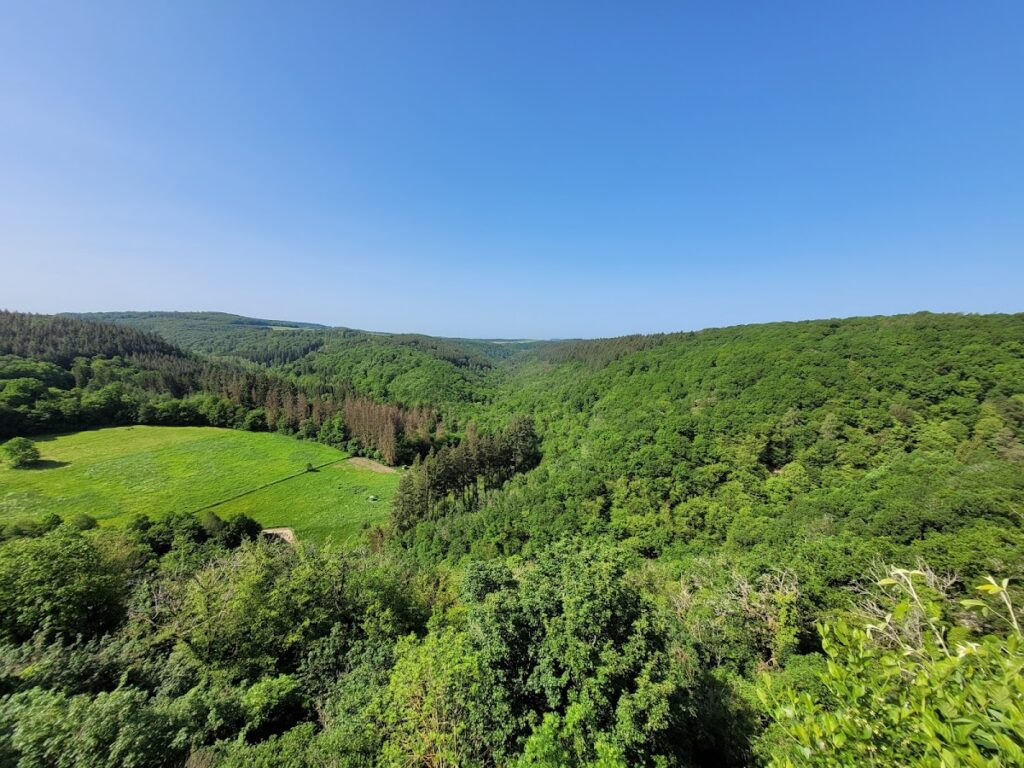 Schloß Schöneck: A Historic Medieval Castle in Boppard, Germany 8 Schloß Schöneck