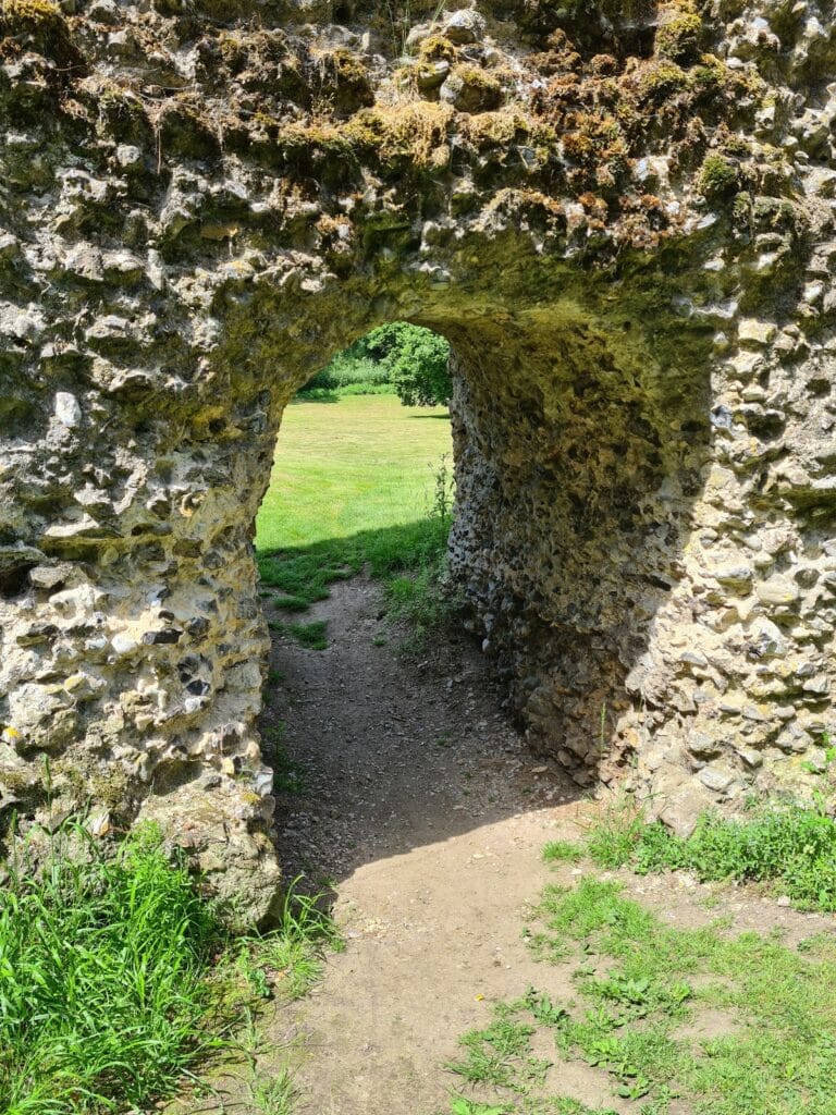 Buckenham Castle