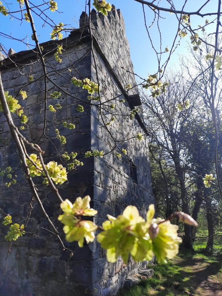 Rosyth Castle: A Fifteenth-Century Tower House in Scotland 4 Rosyth Castle