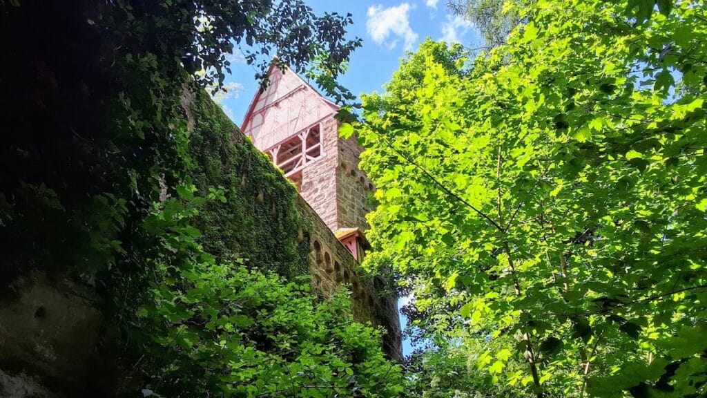 Zwingenberg Castle: A Medieval Hilltop Fortress in Germany 4 Zwingenberg Castle