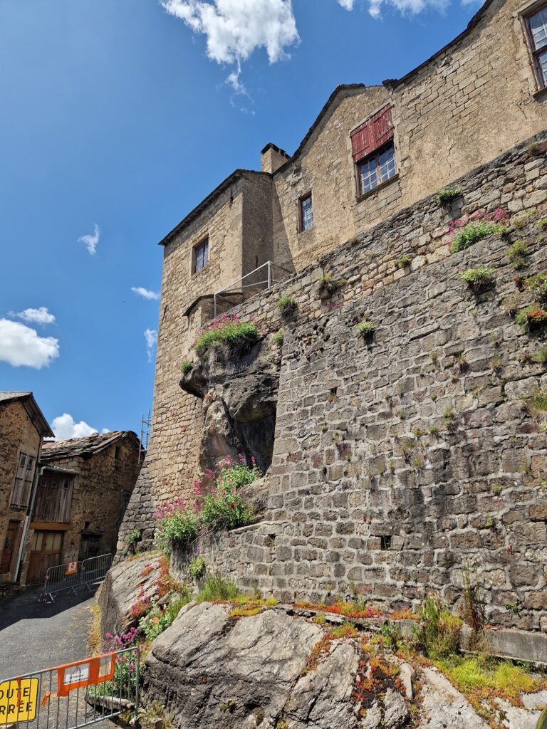 Château de Castelnau-Pégayrols: A Historic Castle in France 8 Château de Castelnau-Pégayrols