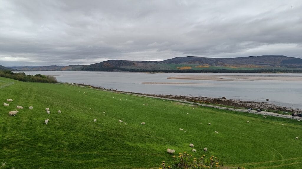 Skelbo Castle: A Medieval Keep Guarding Loch Fleet 4 Skelbo Castle