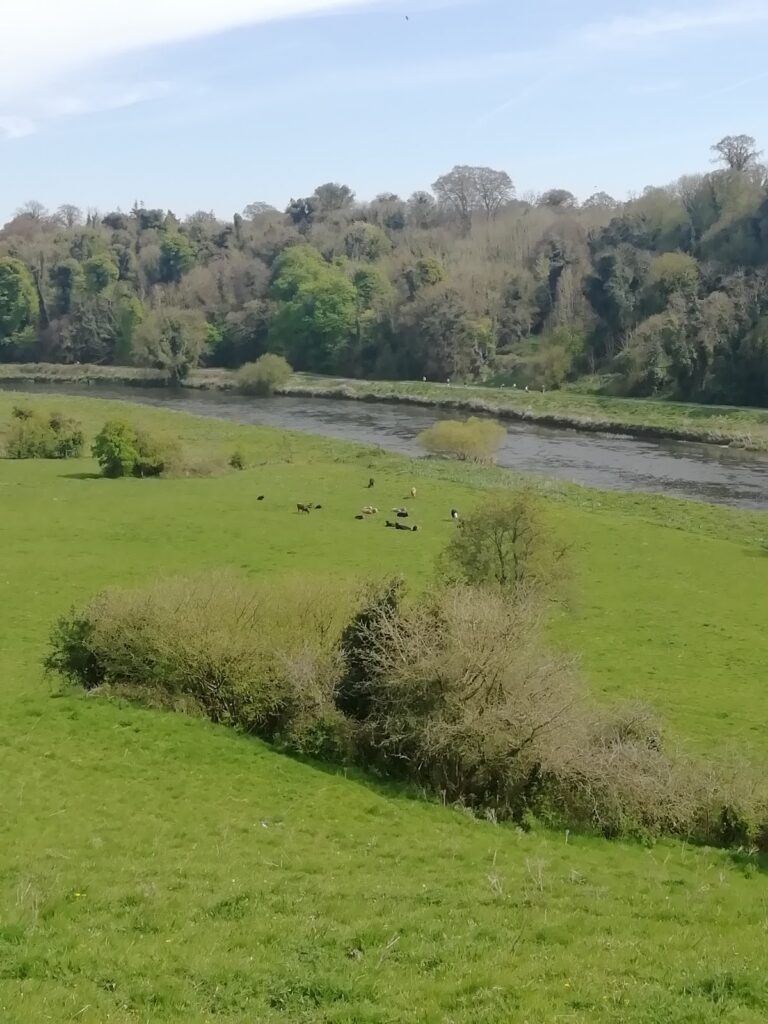 Dunmoe Castle: A Historic Anglo-Norman Fortification Near Navan, Ireland 10 Dunmoe Castle