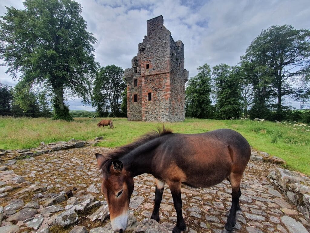 Greenknowe Tower: A Sixteenth-Century Scottish Tower House 5 Greenknowe Tower