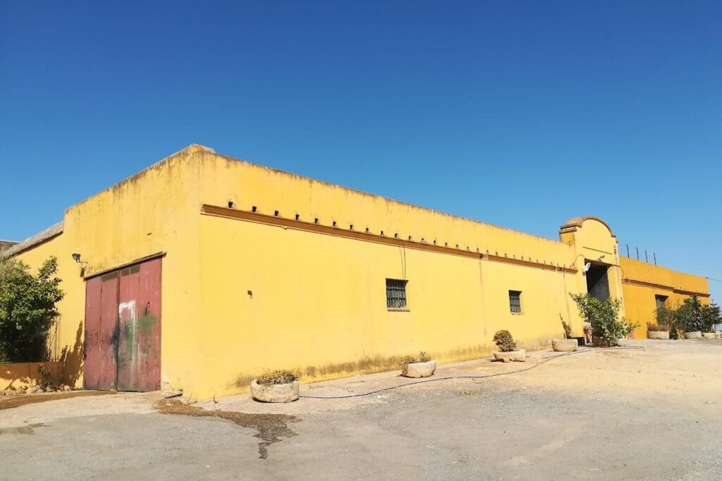 Marchenilla Castle: A Medieval Fortress in Spain 3 Castillo de Marchenilla