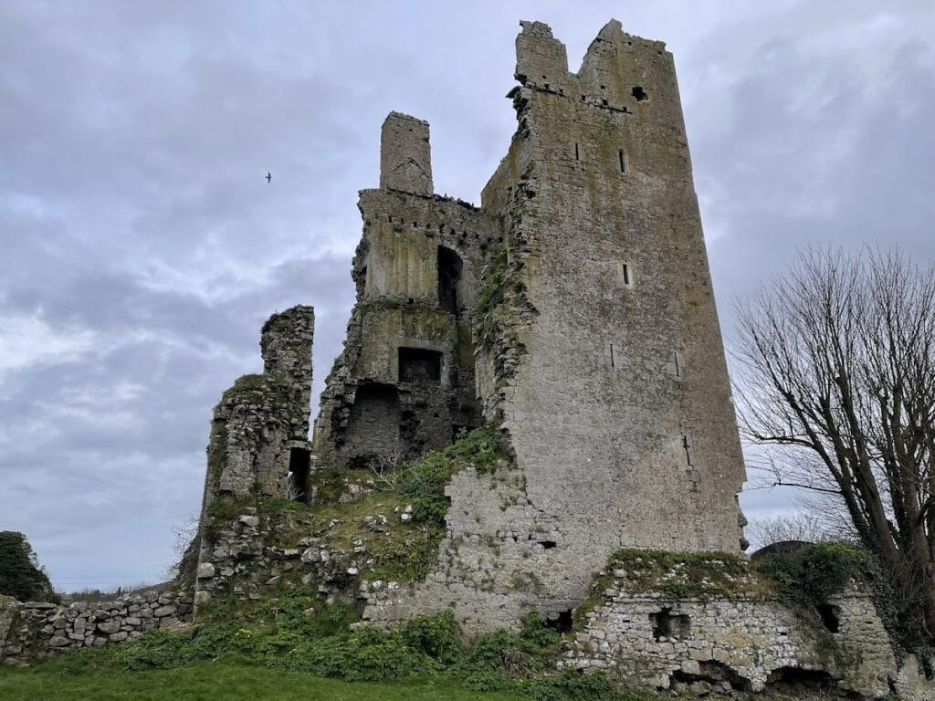 Cullahill Castle: MacGillapatrick Tower House in Ireland 1 Cullahill Castle