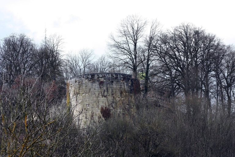 Château de Vignory: A Medieval Fortified Residence in France