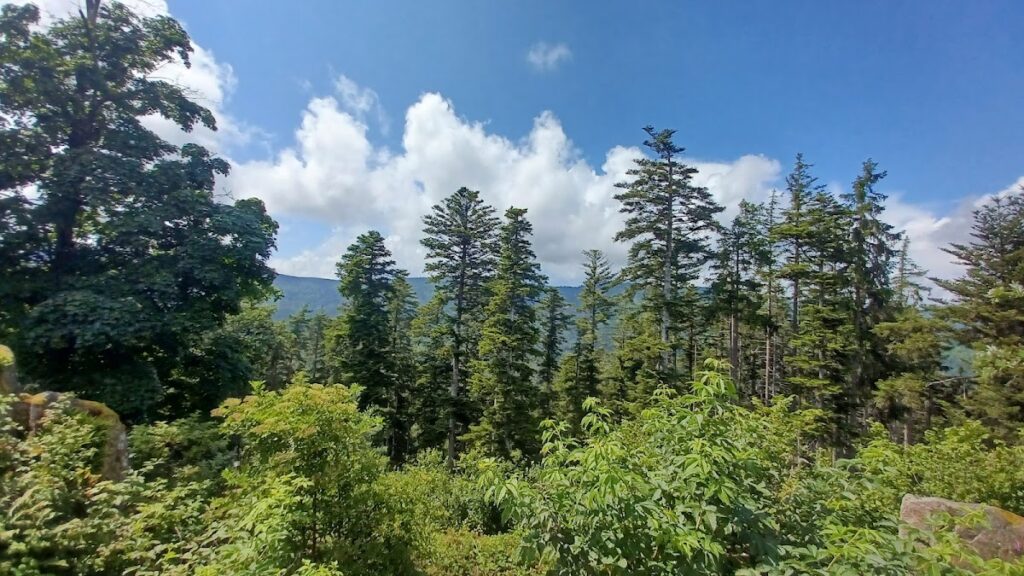Château de Kagenfels: A Medieval Castle in Ottrott, France 10 Château de Kagenfels