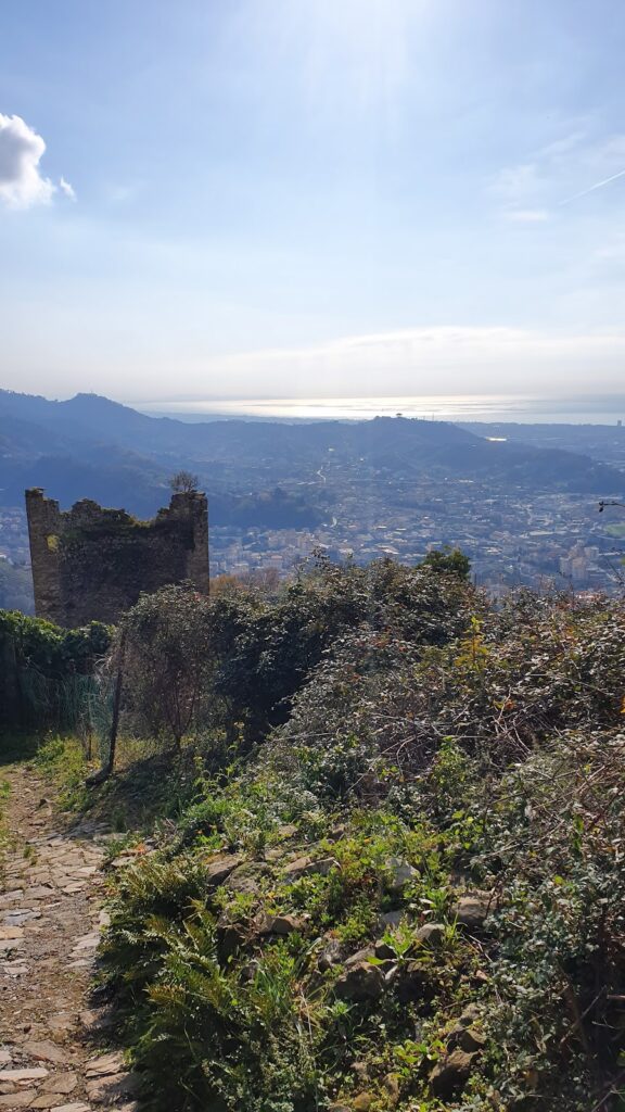 Castello di Moneta: A Historic Fortress in Carrara, Italy 9 Castello di Moneta