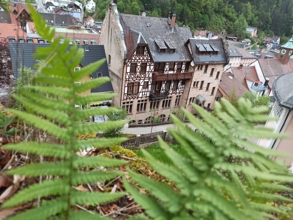 Burg Triberg: A Medieval Noble Castle in Germany 3 Burg Triberg