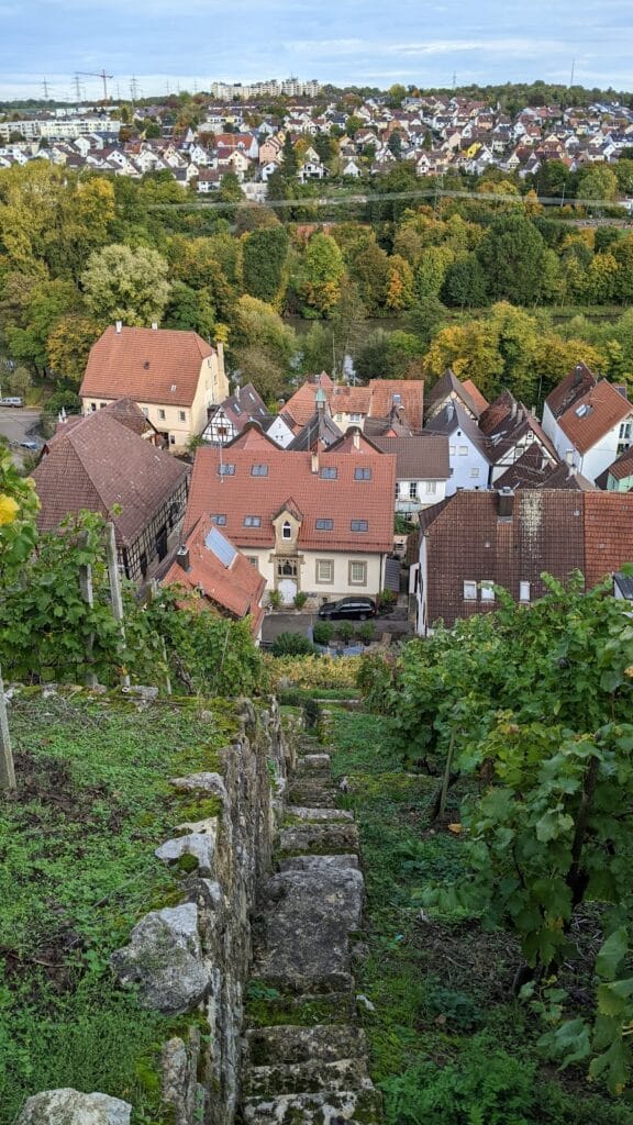 Burg Hoheneck: A Medieval Castle Ruin in Ludwigsburg, Germany 3 Burg Hoheneck (Ludwigsburg)
