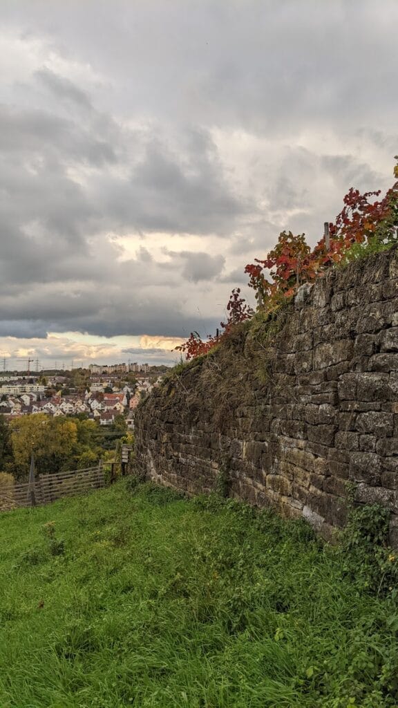 Burg Hoheneck: A Medieval Castle Ruin in Ludwigsburg, Germany 4 Burg Hoheneck (Ludwigsburg)