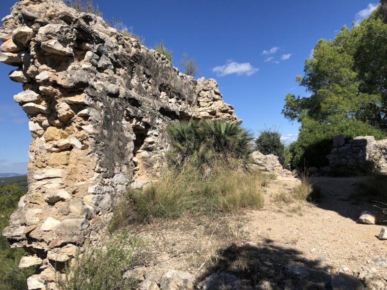 Castell de Montoliu: A Medieval Fortress in La Riera de Gaià, Spain