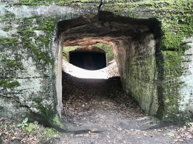 Hynšta: A 13th-Century Rock Castle in Czechia