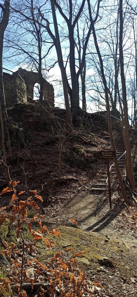 Raubschloss Ringethal: A Former Hilltop Castle in Saxony 2 Raubschloss Ringethal