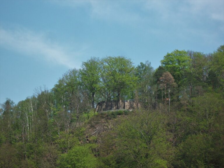 Raubschloss Ringethal: A Former Hilltop Castle in Saxony