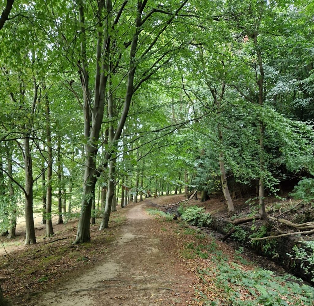 Harewood Castle