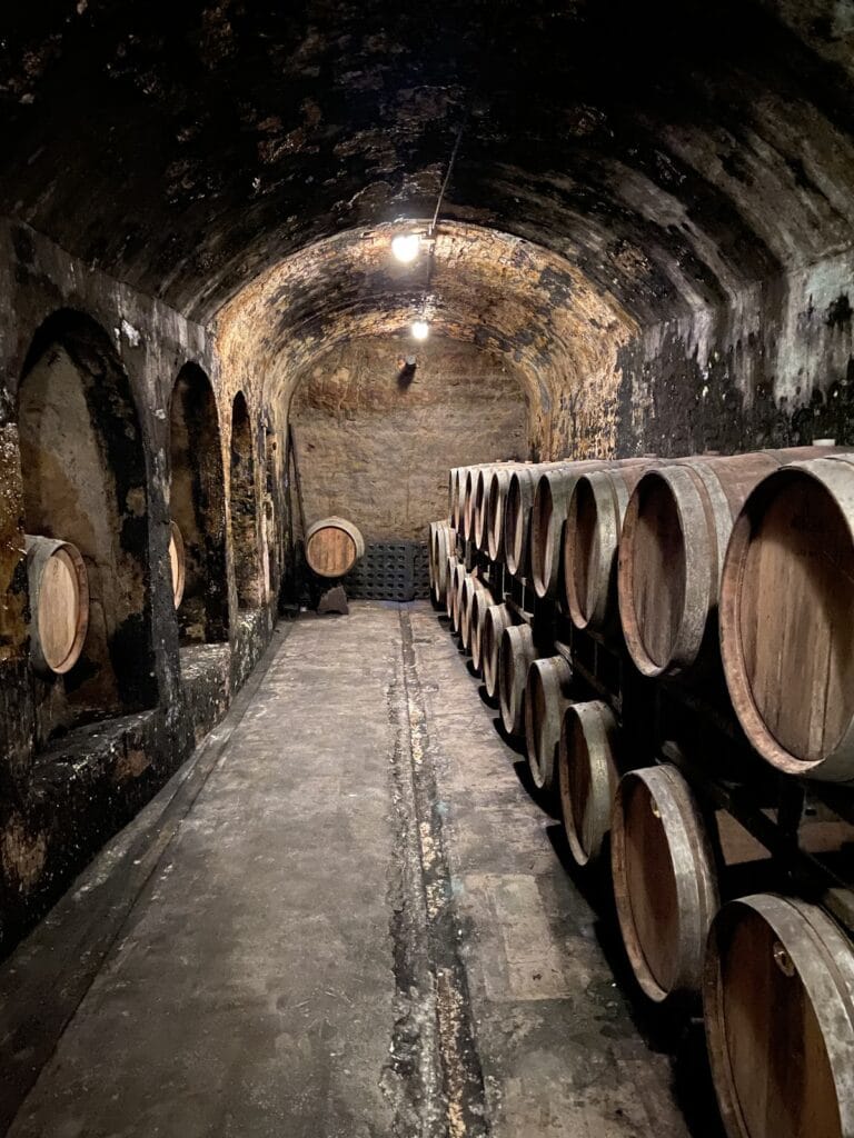 Castello di Oliveto: A Fifteenth-Century Country House in Italy 3 Castello di Oliveto