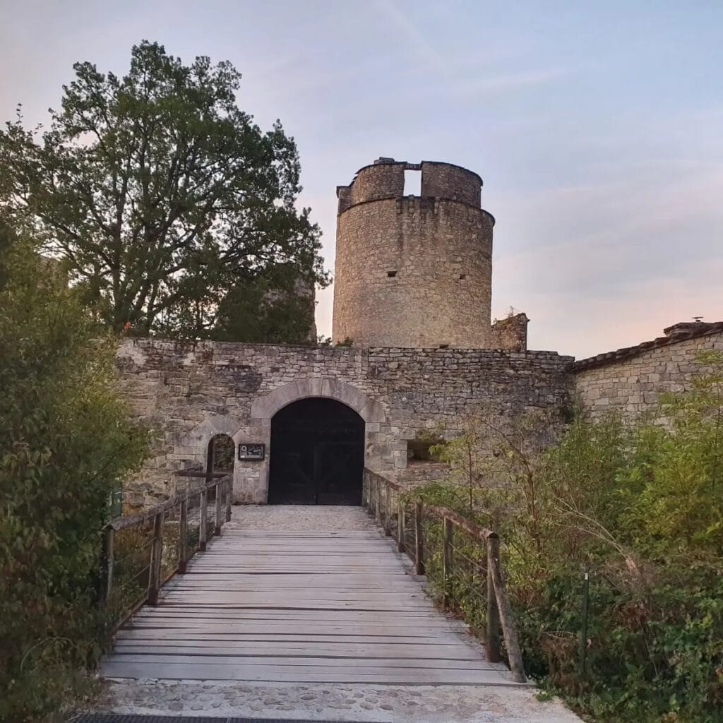 Château de Roussillon