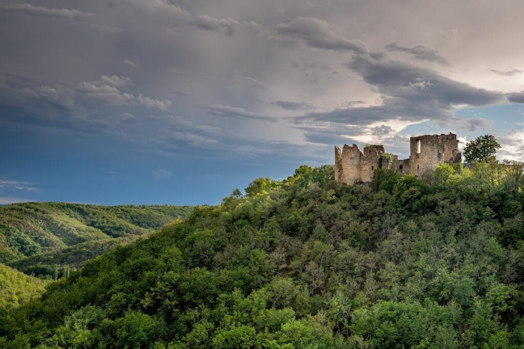 Château de Roussillon
