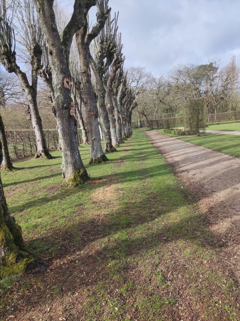Château de Dommerville (Angerville)